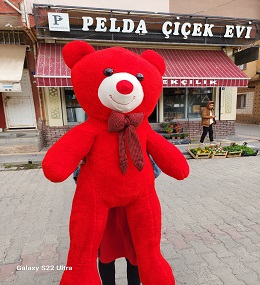 ayıcık büyük boy 6