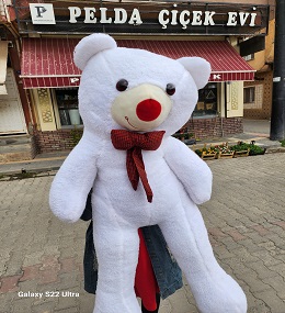 büyük boy ayıcıcık 7