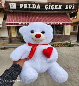 ayıcık 2