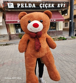 büyük ayıcık 8